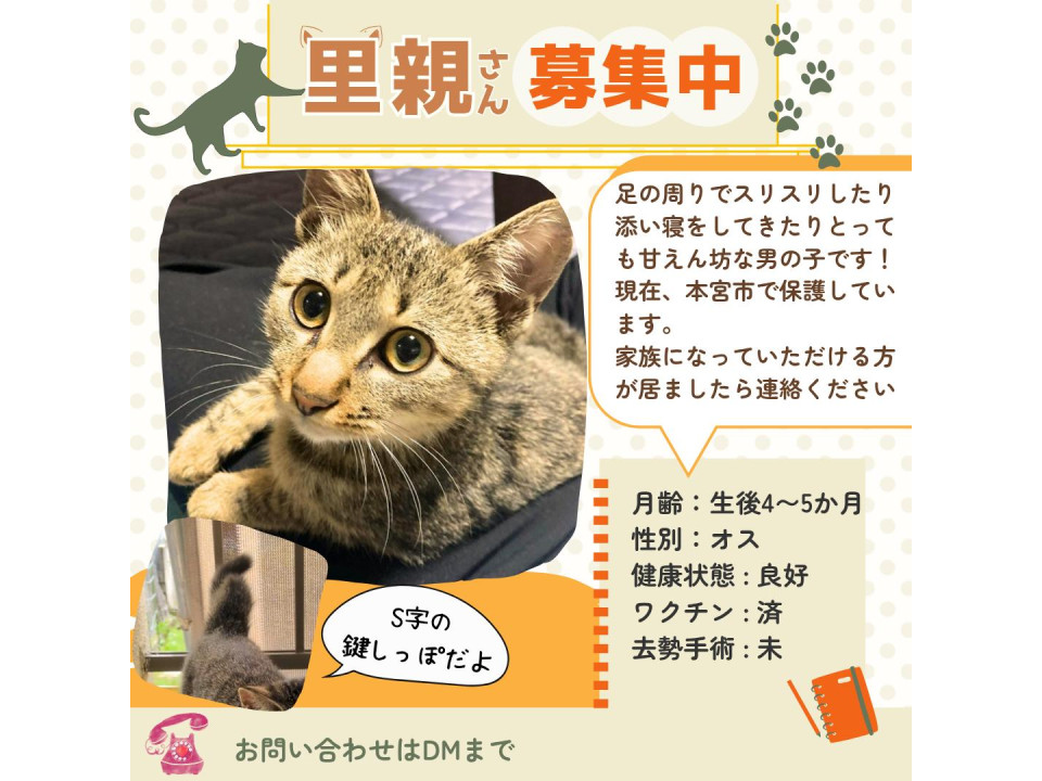 超絶甘えん坊の男の子