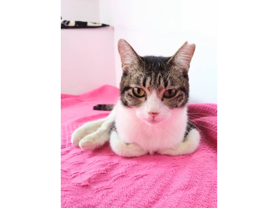 ミスピーン☆1-2歳くらい