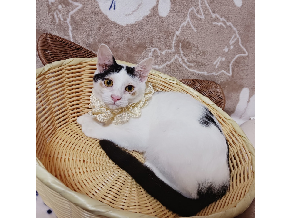 前髪センター分け!嘉麻市からレスキュー