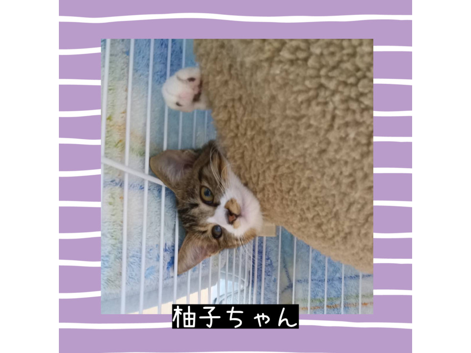 甘えん坊❤️柚子ちゃん