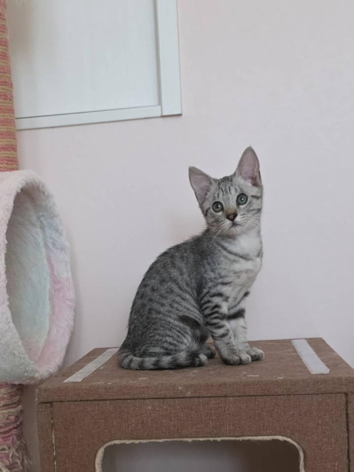 瞳がとてもキレイな可愛い女の子