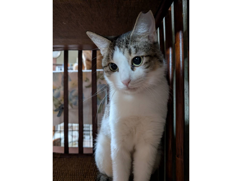 子育てが終わって捨てられた女の子