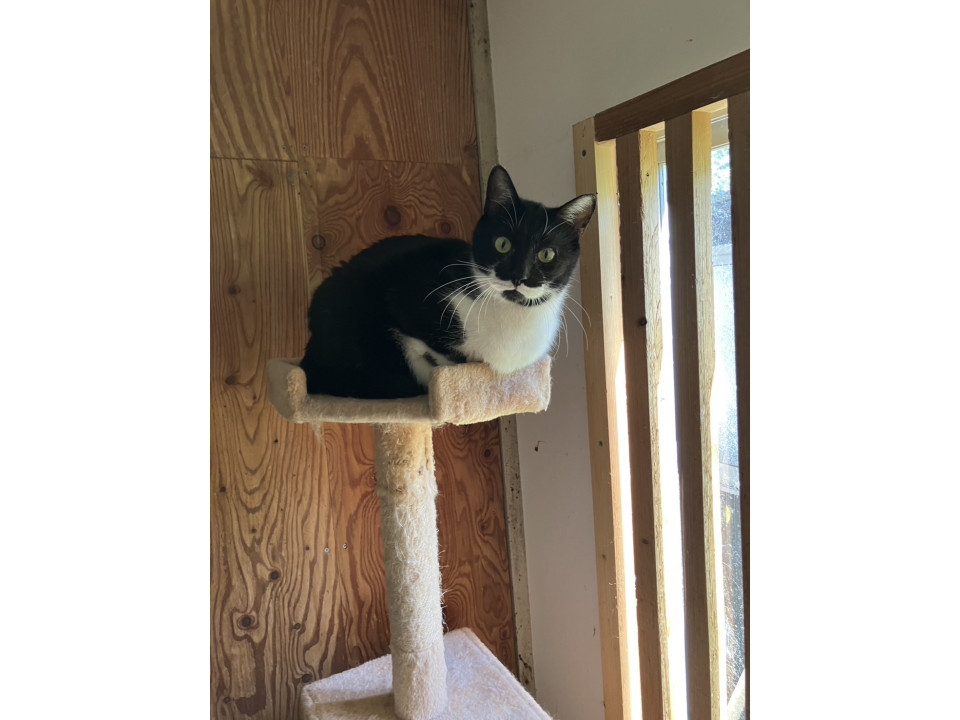 フレンドリーな カイくん