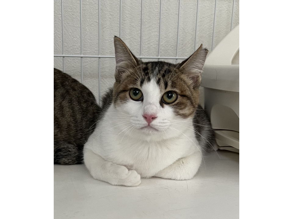 らんちゃん♩美人で優しい子