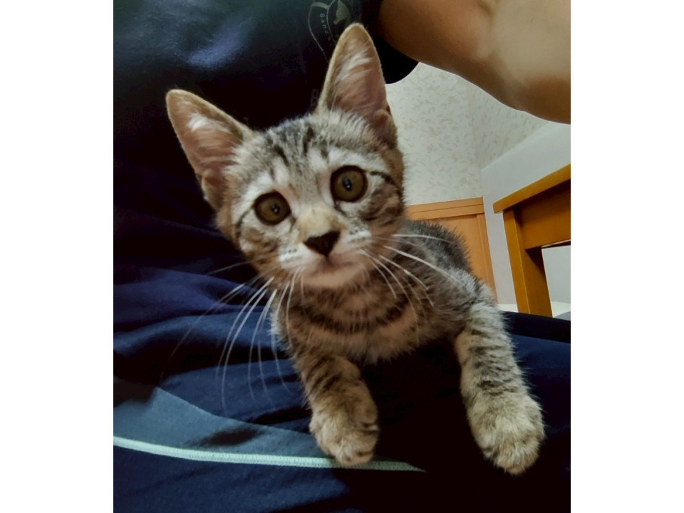 好奇心旺盛♪元気いっぱい！！　ゆり♀