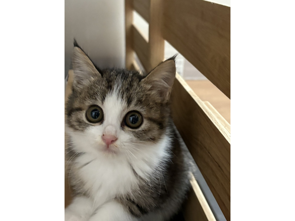 可愛いひなたちゃん❣️