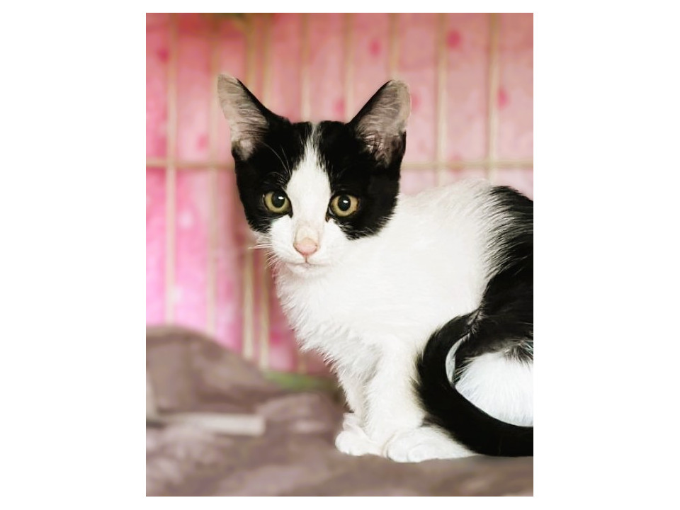 ◆11/24◆びびりさんだけど人が好き♥