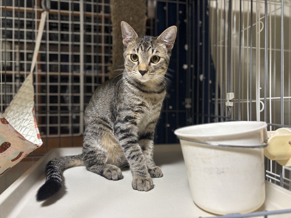 ちょっとビビりな男の子