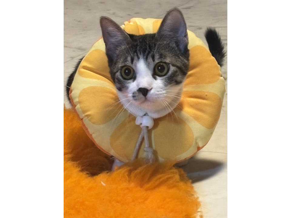 丸顔でとても可愛い❤️小さめ女の子