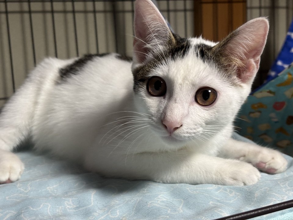 甘え方が半端なく可愛い?スル君