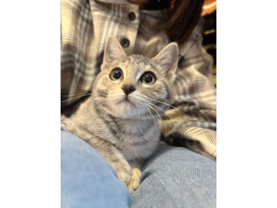 3兄妹ﾊﾟｯﾁﾘお目目❣無邪気なこの♡