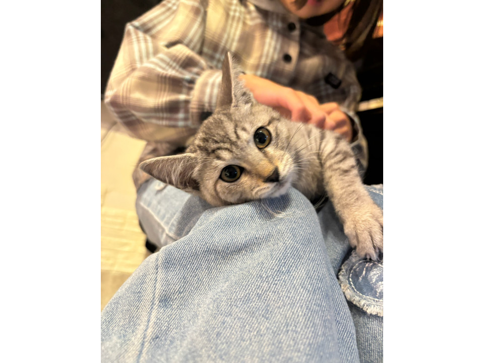 3兄妹癒しのイケメン♡きのくん♡