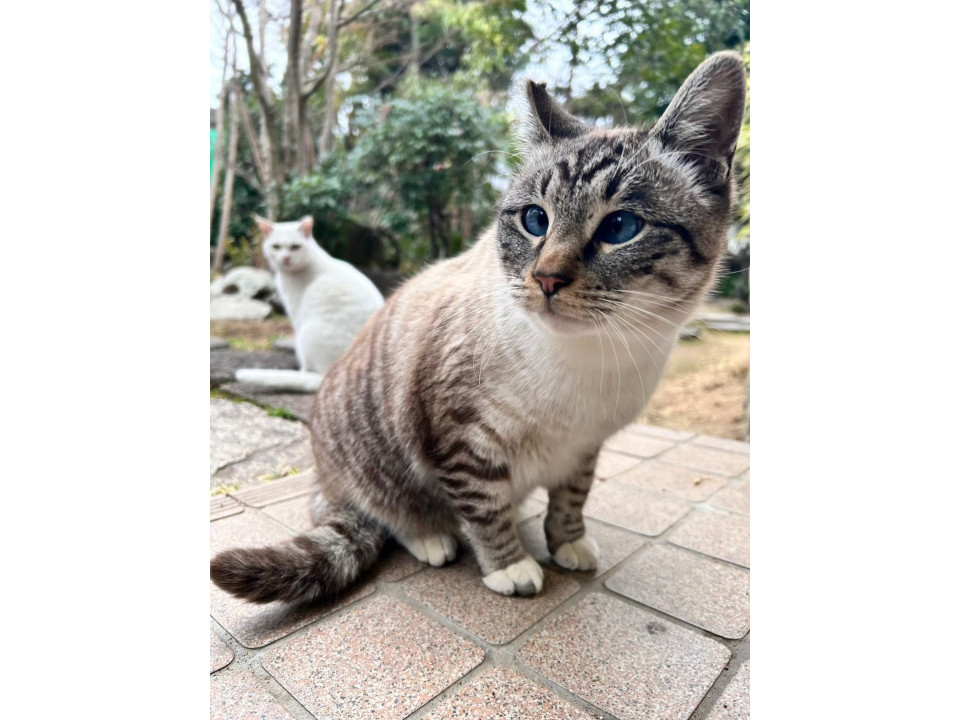 ちょっとビビりな優しい男の子