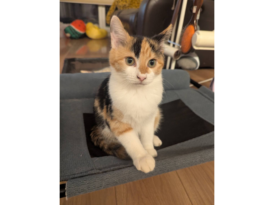 元気いっぱい、かわいい〜♡あまずちゃん