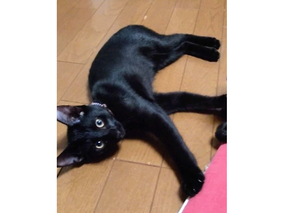 人が大好き！スリゴロのくるり君