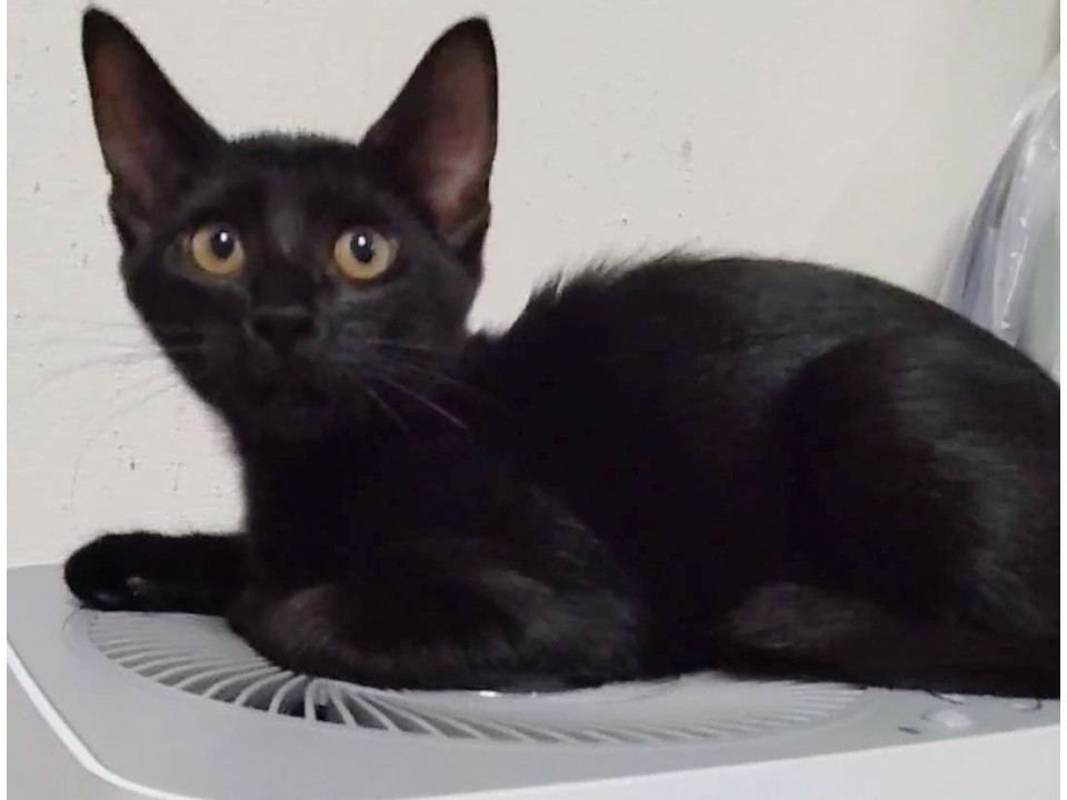 人が大好き!スリゴロのみか君