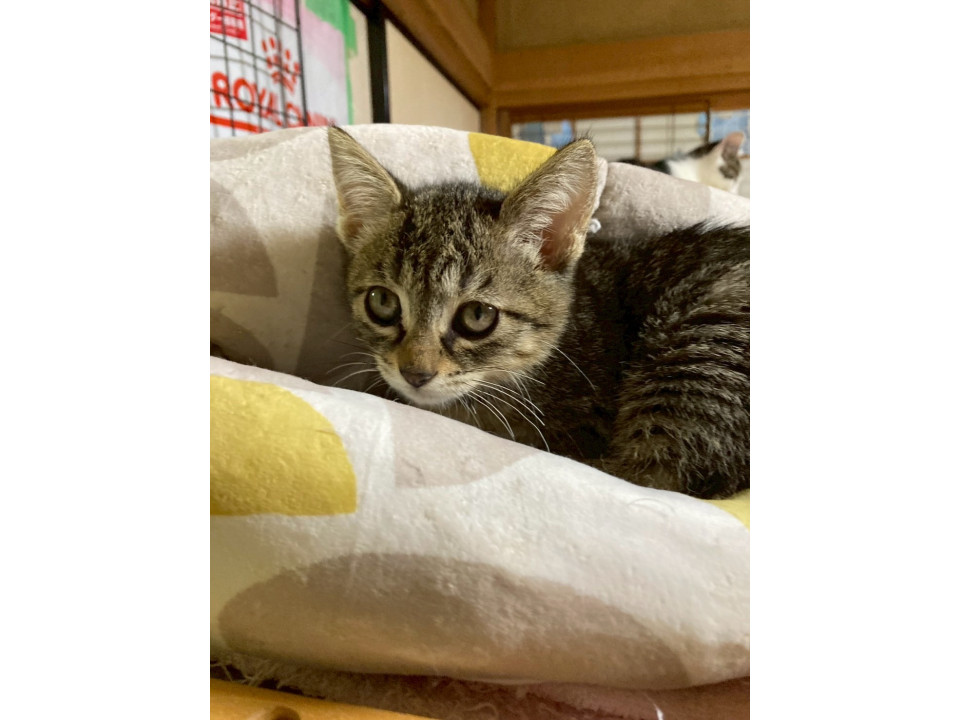 くりくりお目め♡めぐみちゃん