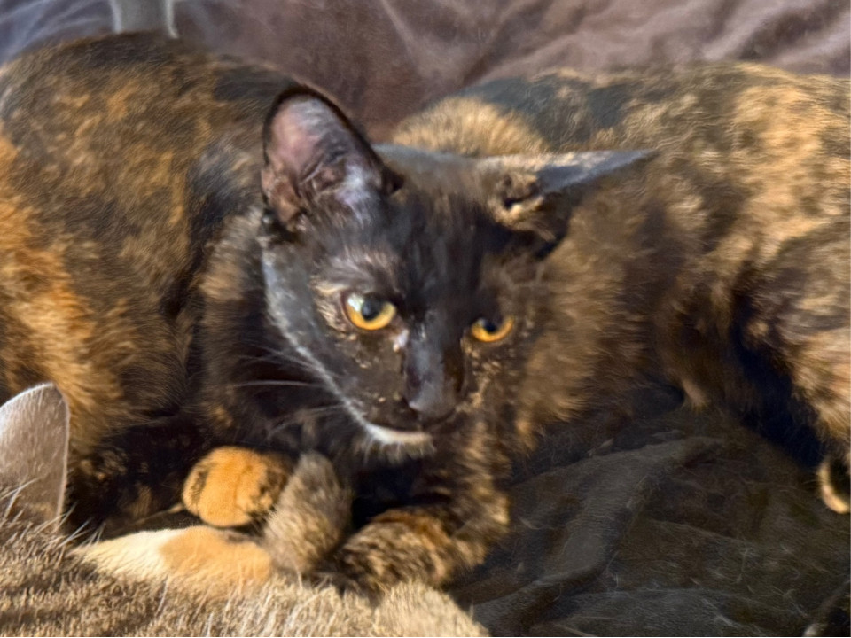 人大好きわがまま女子