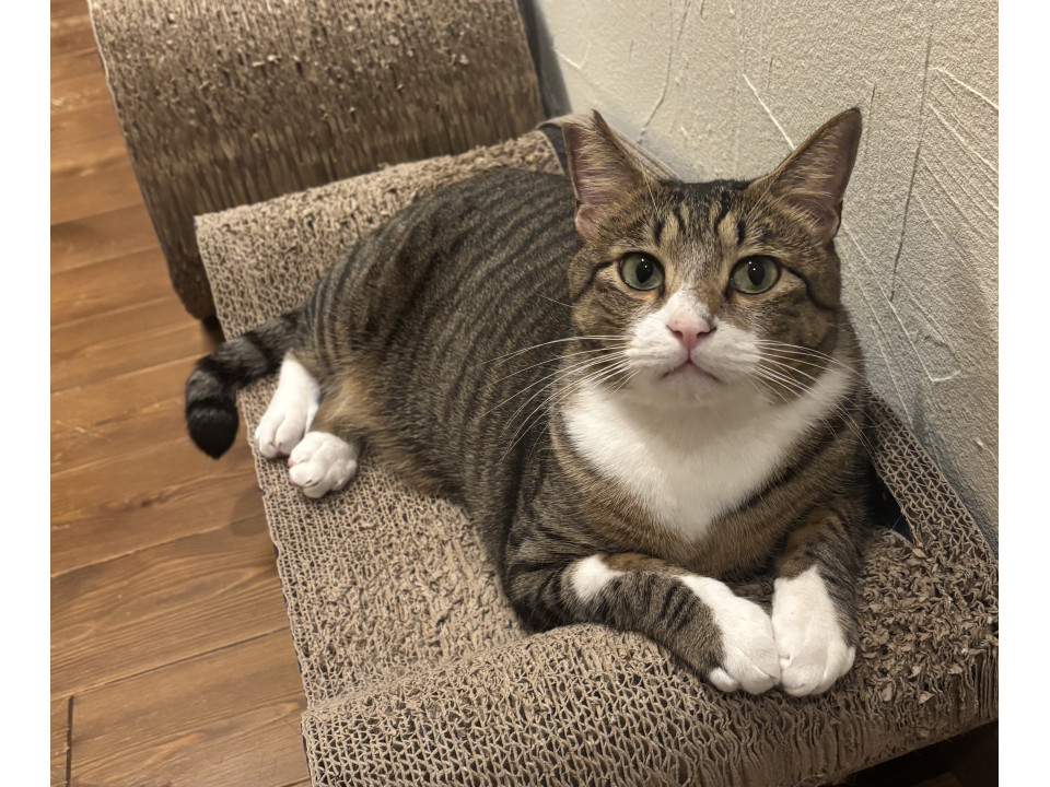 甘えん坊の男の子