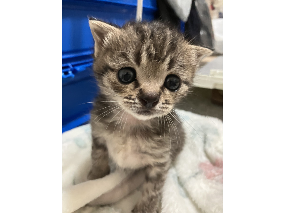 甘ったれきーちゃん♡