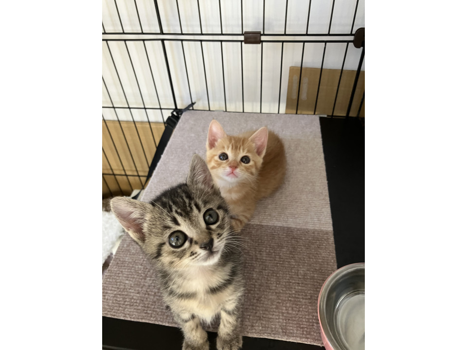 甘ったれきーちゃん♡