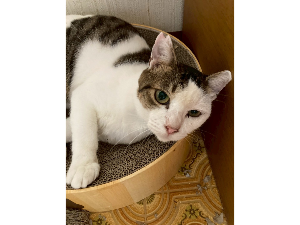 穏やかなチャーリーくん