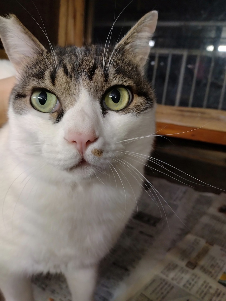 優しく穏やかな富士男くん