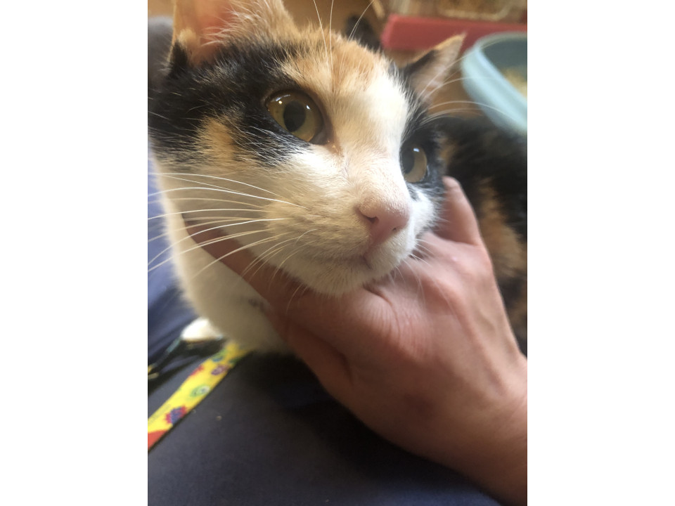 女の子なのに甘えたさんですよ