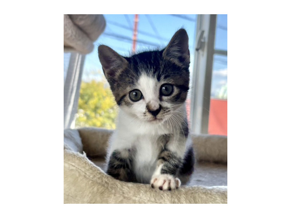 元気な兄妹一緒に