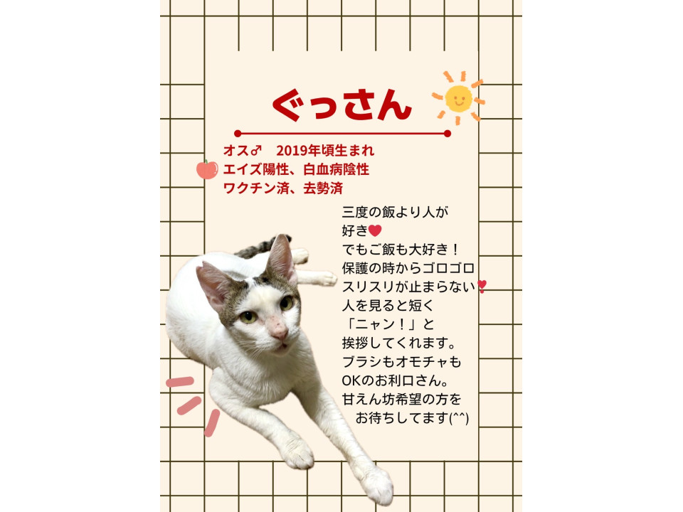 永年預かり対象