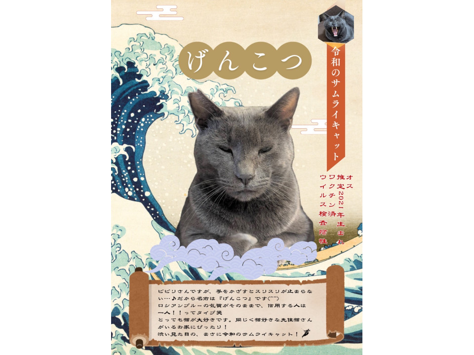 単身女性の方求む??