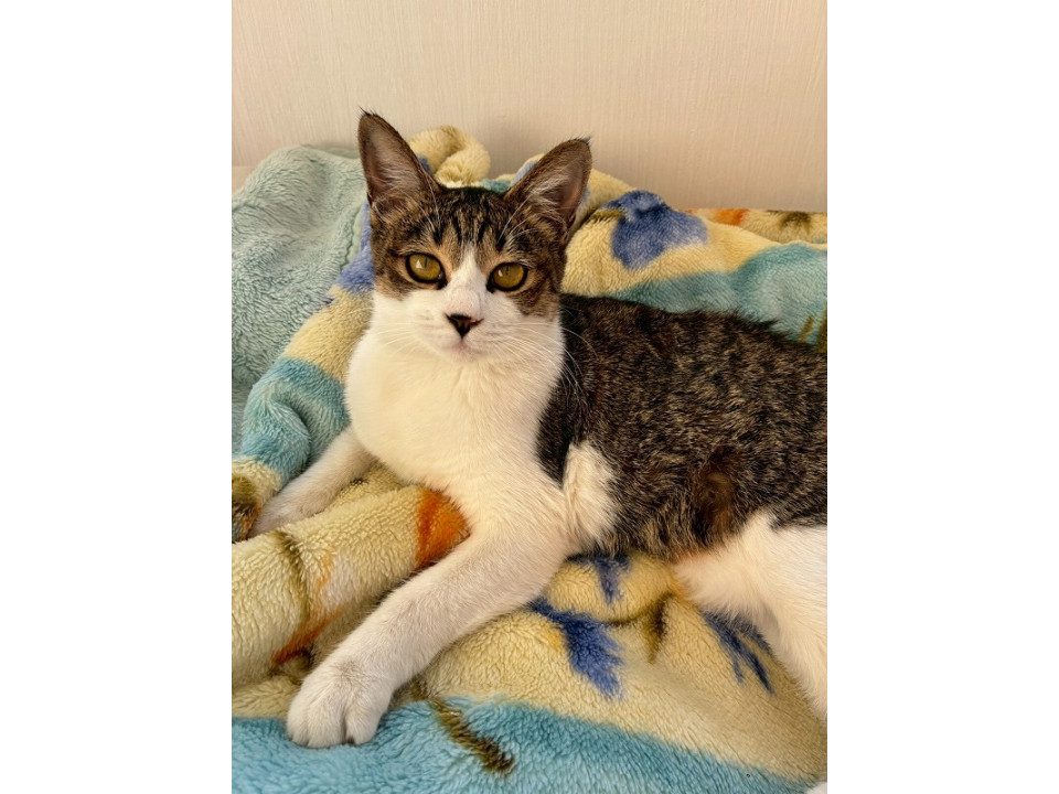 人見知りもなく優しく甘えん坊の美和(みわ