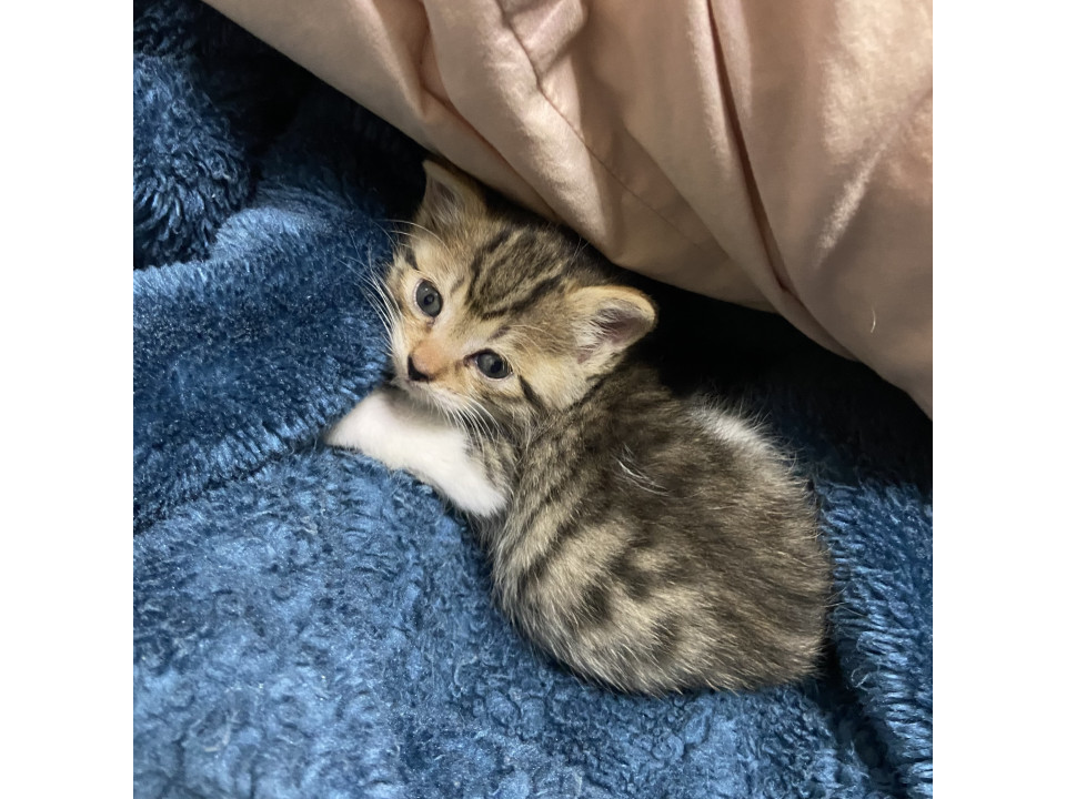 生後1ヶ月くらい