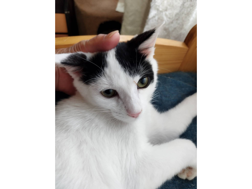 甘えん坊の男の子