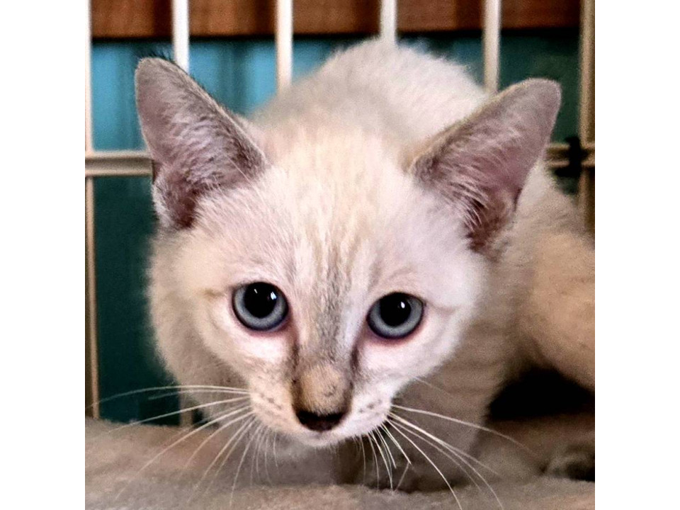 12/21カインズ浦和美園参加