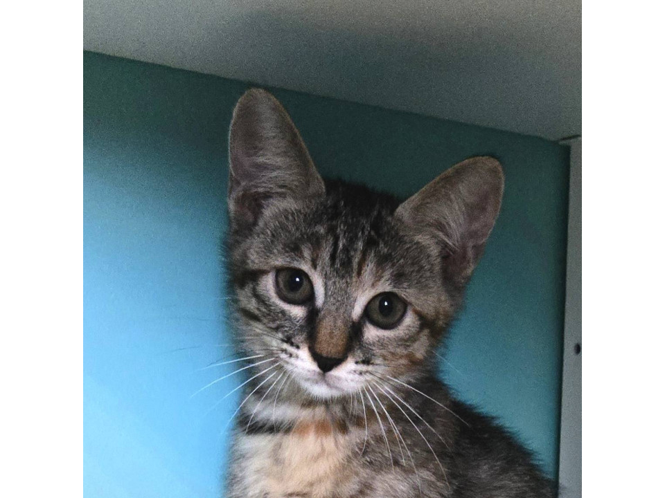 12/21カインズ浦和美園参加