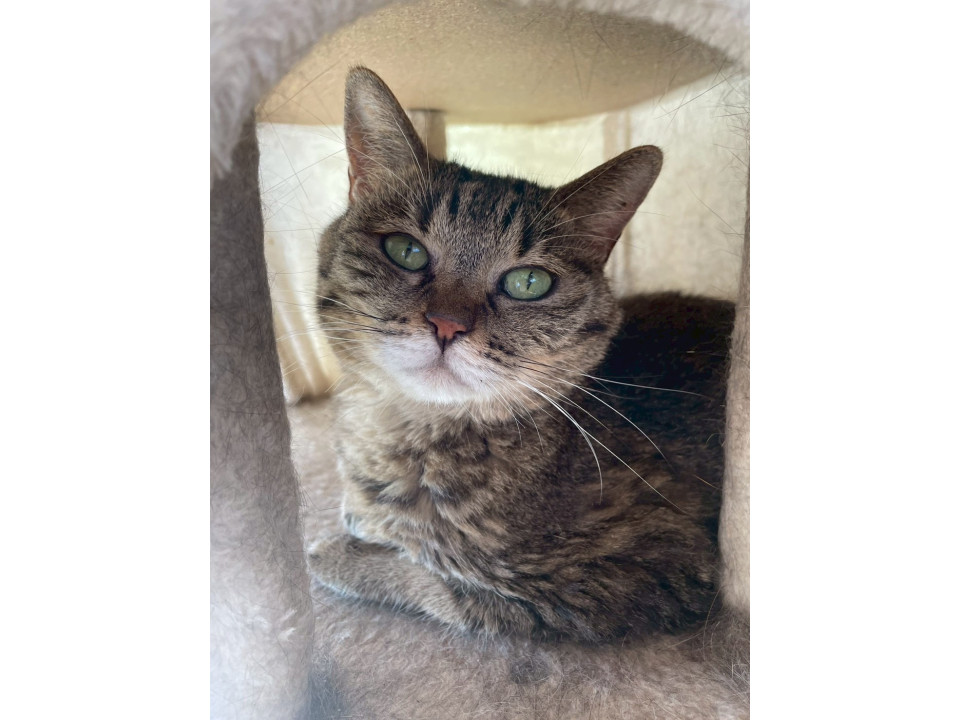 まるがお可愛い桜子ちゃん