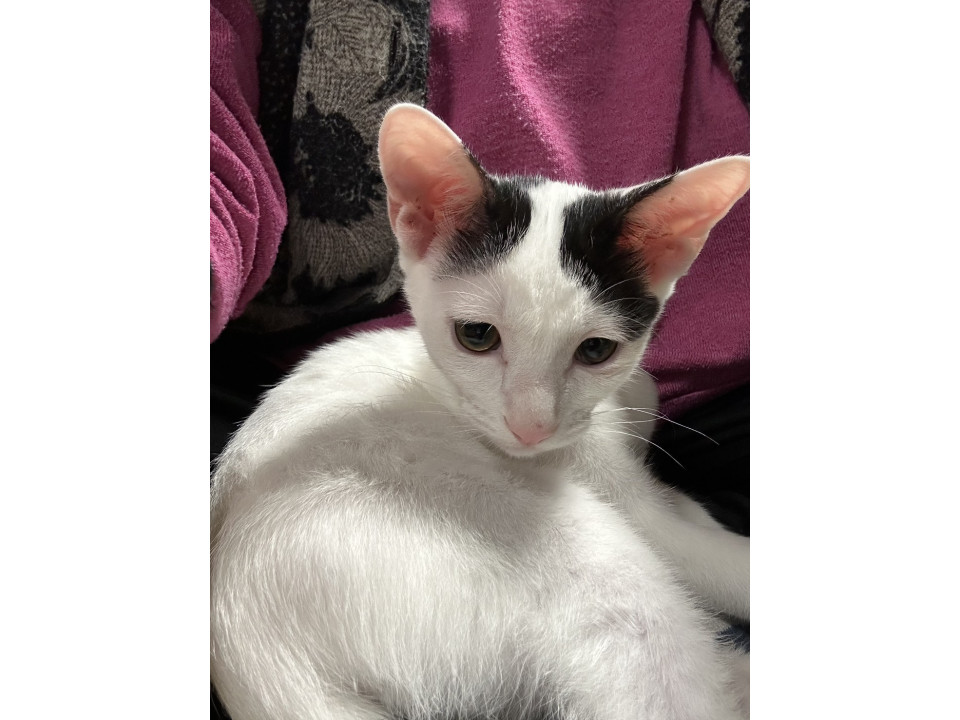 人懐っこいです