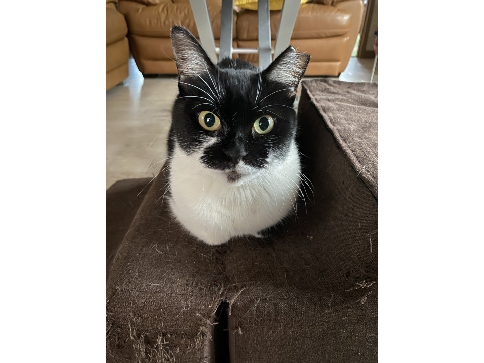 大人しいお母さん