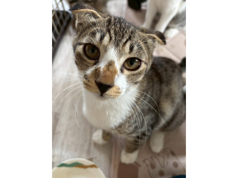 探検好きなエナくん