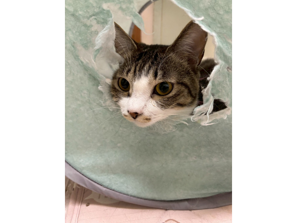 添い寝大好き！！ノンちゃん