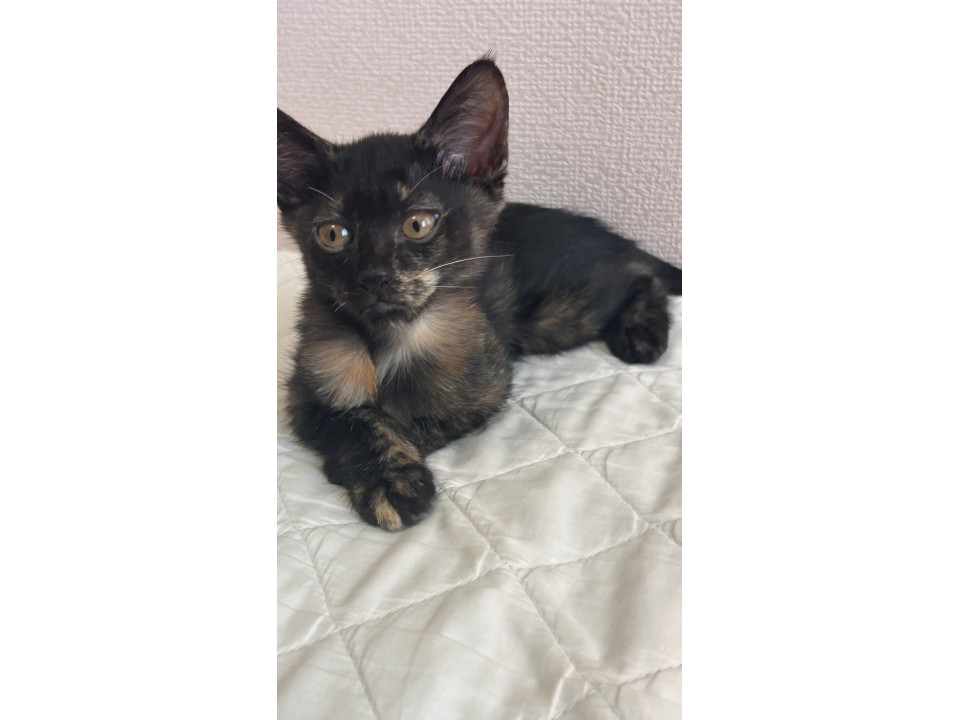 とにかく性格が可愛すぎる甘えん坊さん