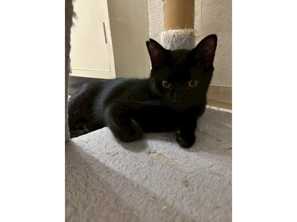 冒険家の⭐︎大黒くん