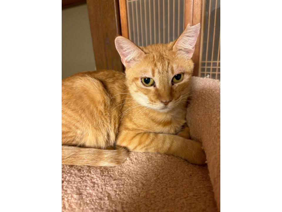 心優しいひなちゃん