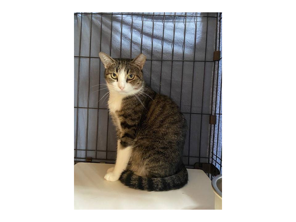 トカリク☆4歳くらい