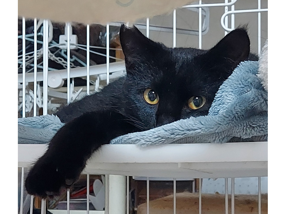 ごきげんなおっとり男子