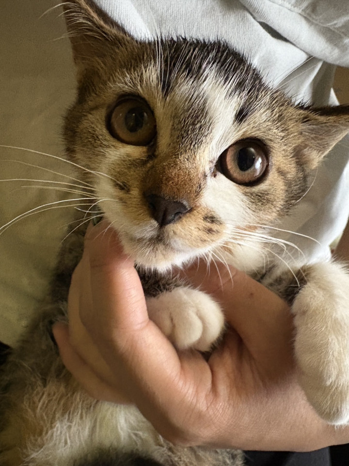 おっとりマイペース可愛いメイちゃん