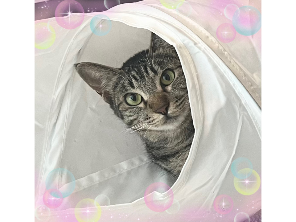 お喋りで優しい女の子♡