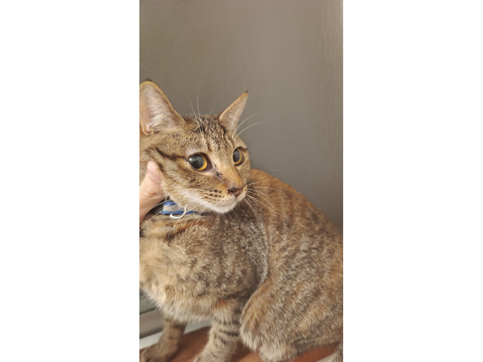 おもちゃ大好きなちょっと怖がりな女の子