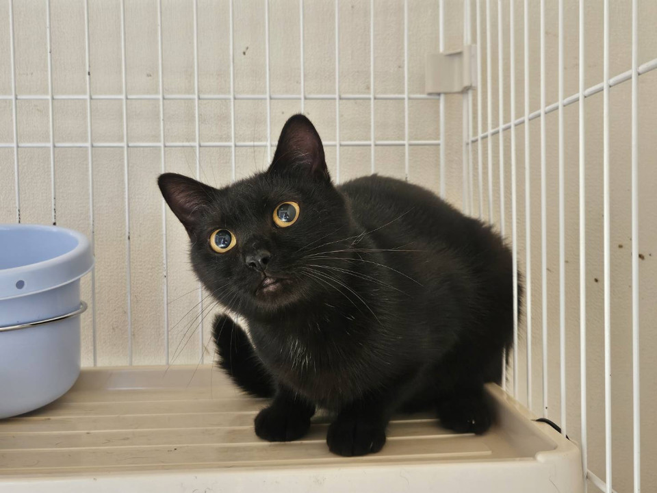 今日（24日）寒い外へリリースする女の子